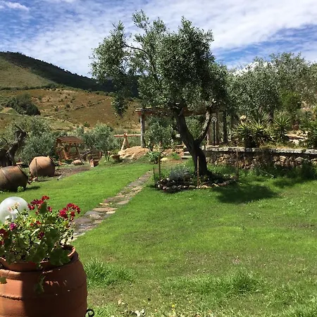 Bed & Breakfast Il Giardino Di Daniela 3*